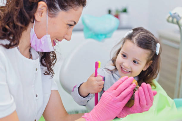 Our Range of Dental Services in St Lawrence, PA